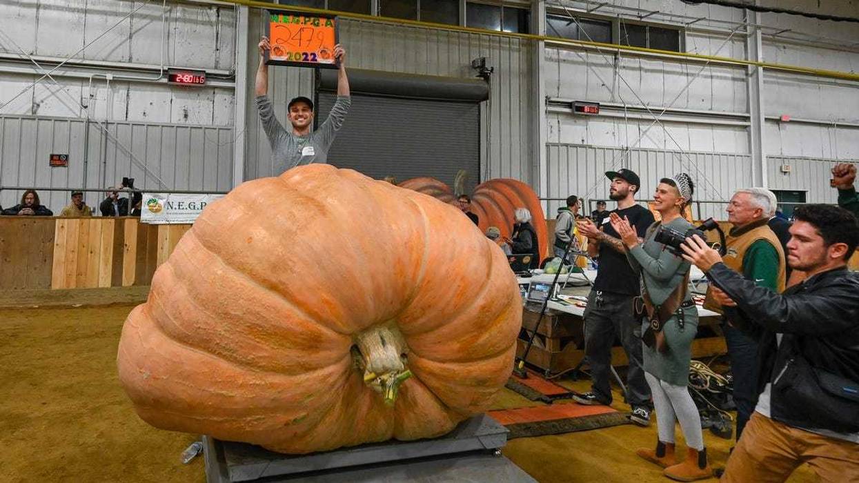 Jamie Graham, of Tyngsboro, holds up his arms in celebration after his pumpkin weighing 2,480 pounds wins the All New England Giant Pumpkin Weigh-Off at the Topsfield Fair on Friday, Sept. 30, 2022.