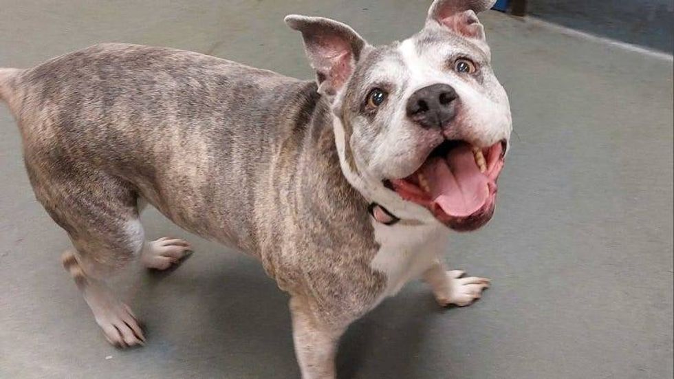 Jasmine @ Austin Humane Society 9.07.22