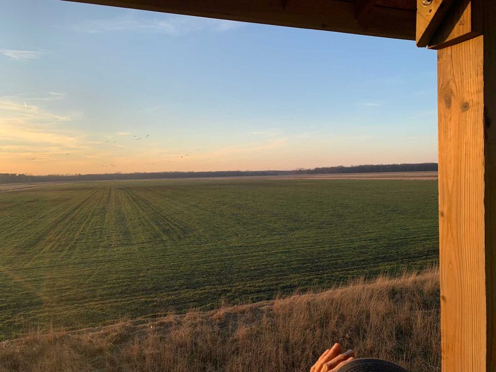 Jasper-Pulaski Fish and Wildlife Area