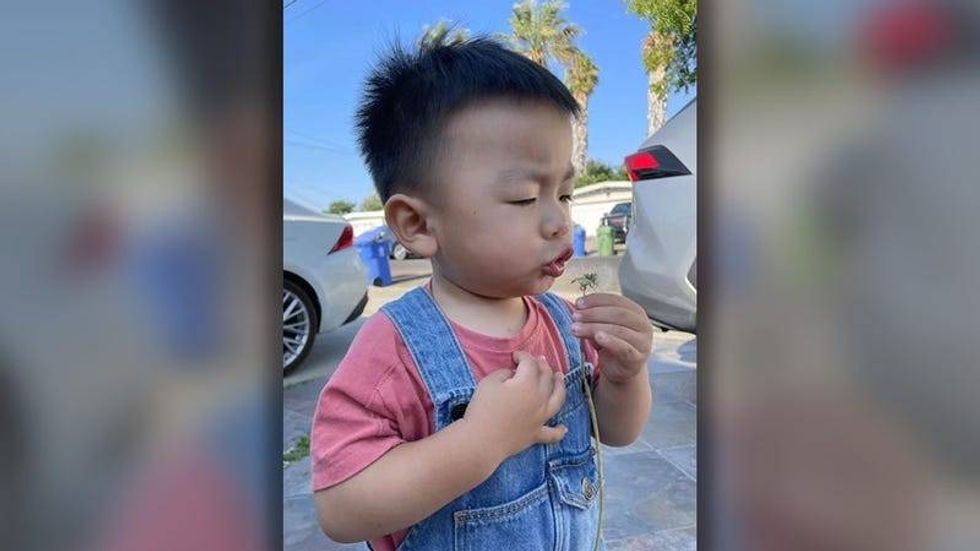 Jasper Wu was shot and killed by a stray bullet in broad daylight on Saturday.