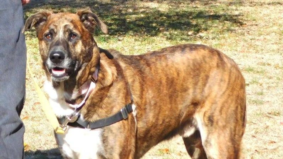 Jay @ Austin Humane Society 3/23/22