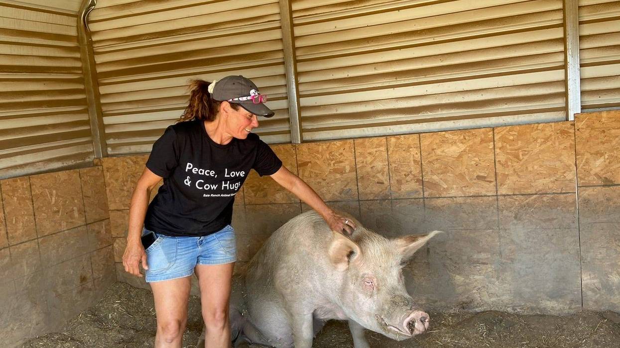 Jen Sale of Sale Ranch with one of their resident pigs