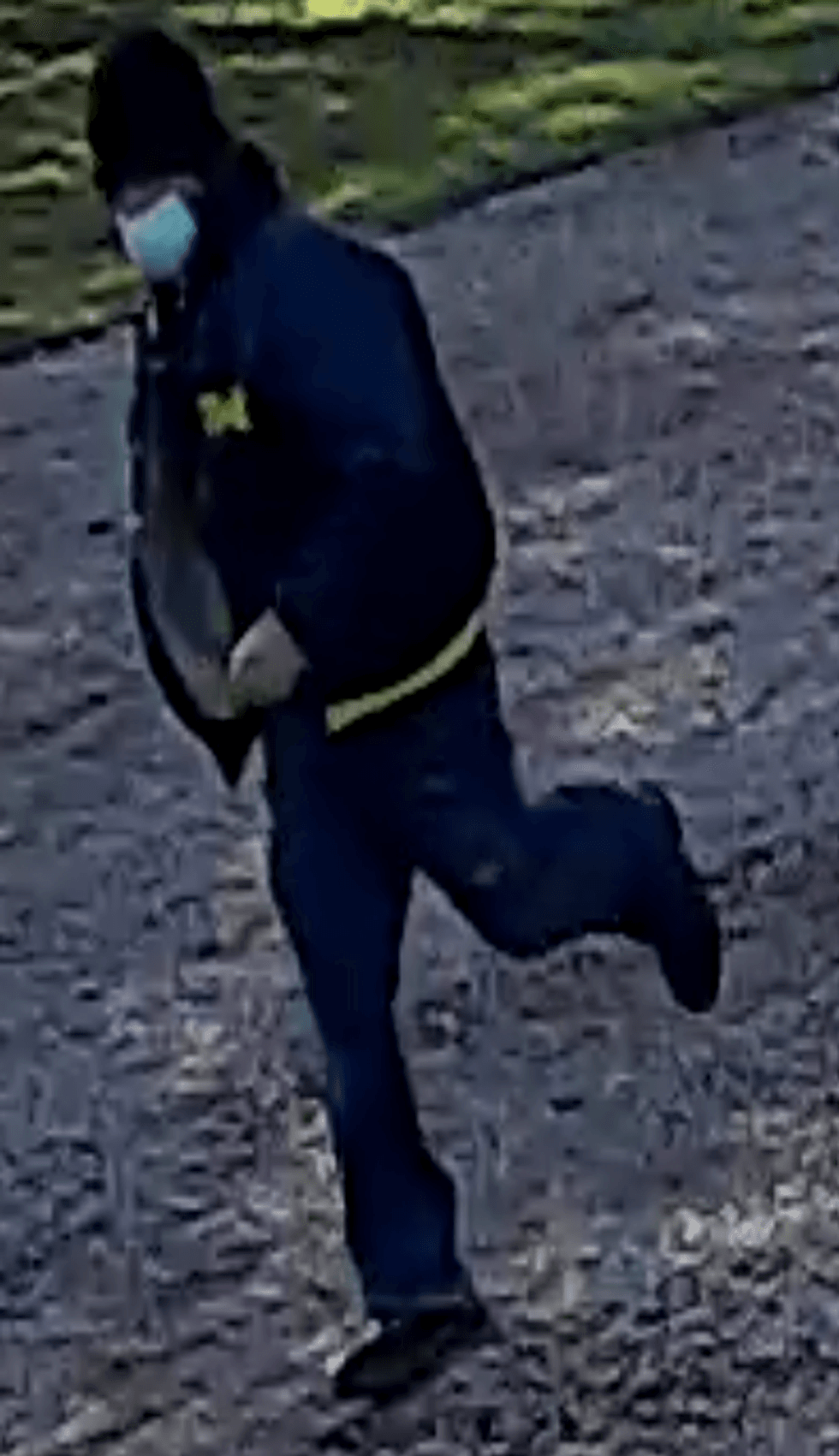 Jewelry Theft 2