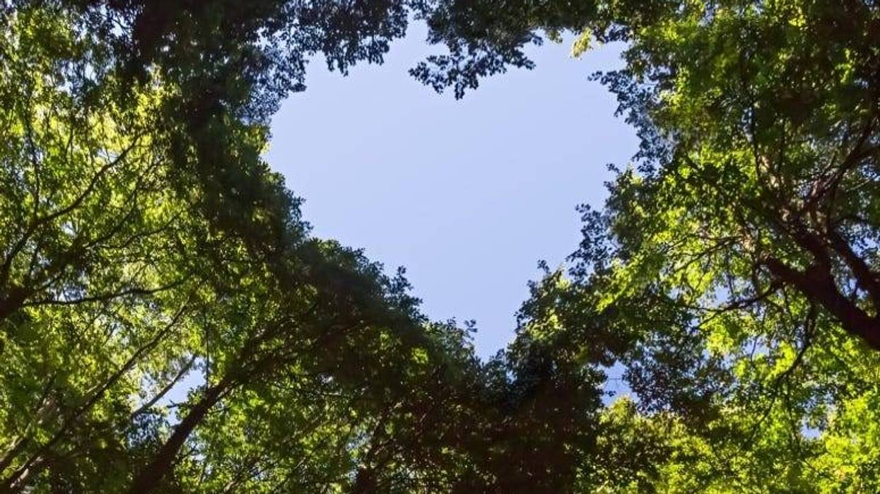 JM_Image_Factory GettyImages