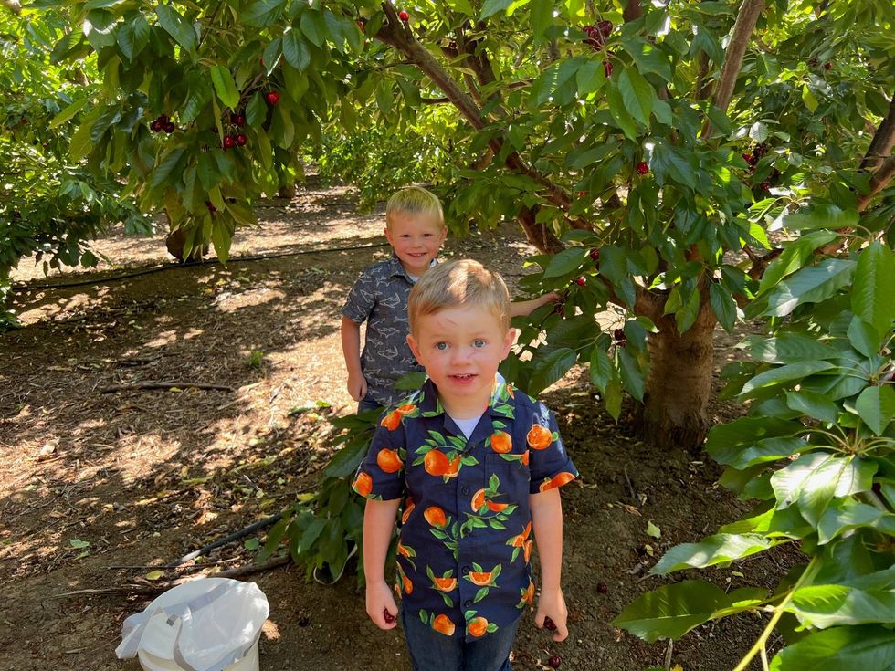 Joe and Jax Capwell picking cherries.