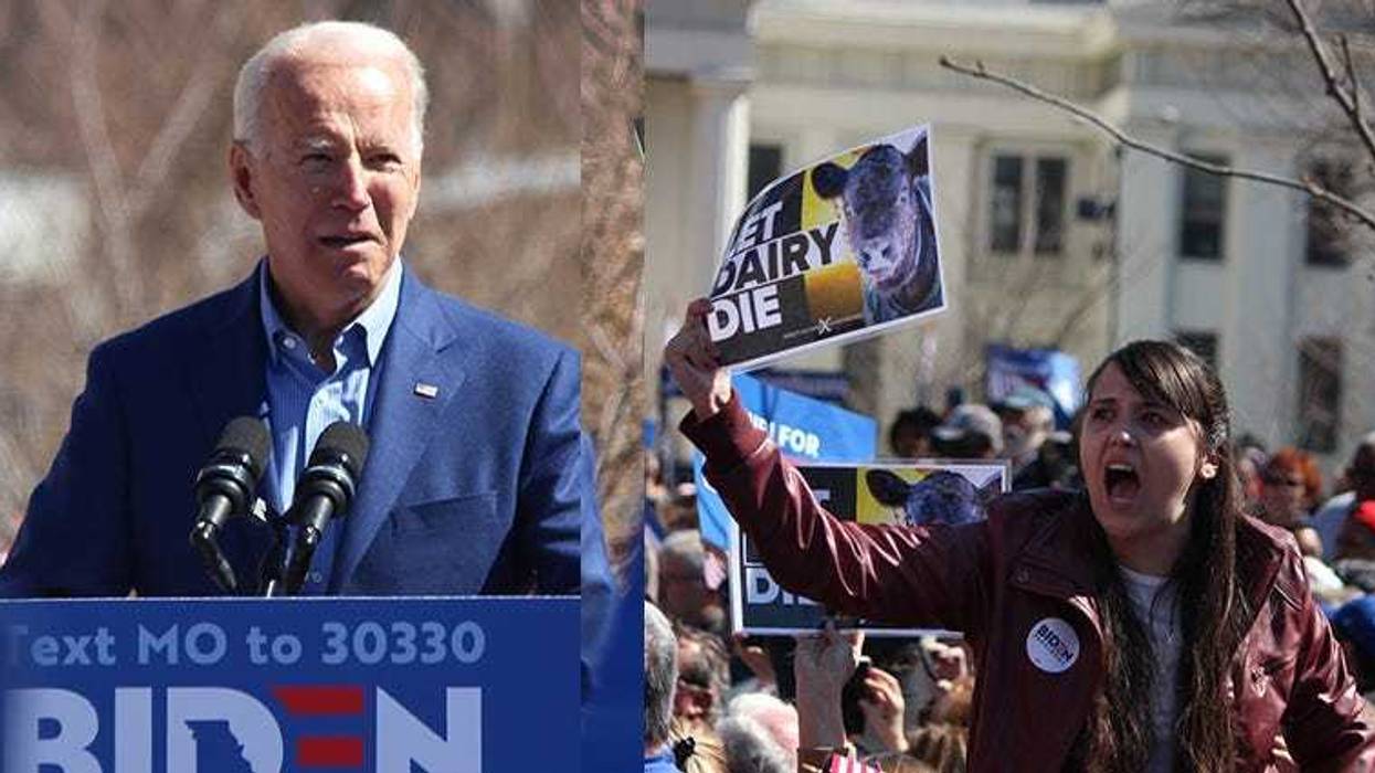 Joe Biden in Downtown St. Louis