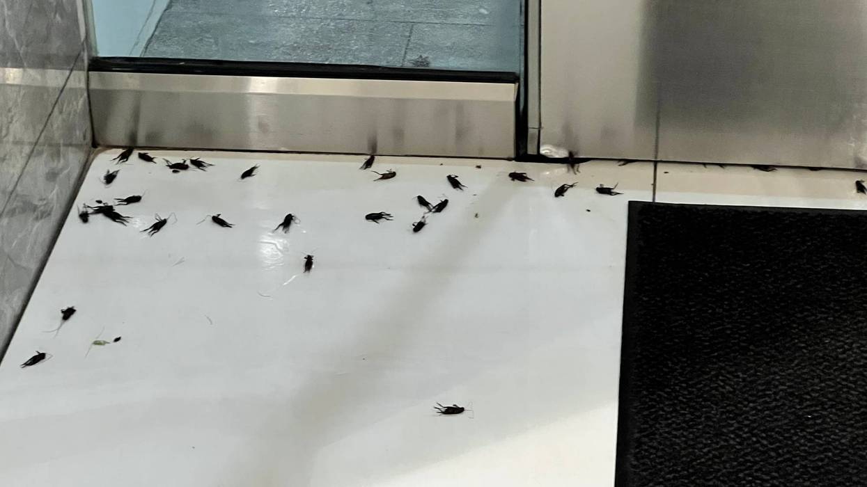 Joe Kelley/ KRLD News