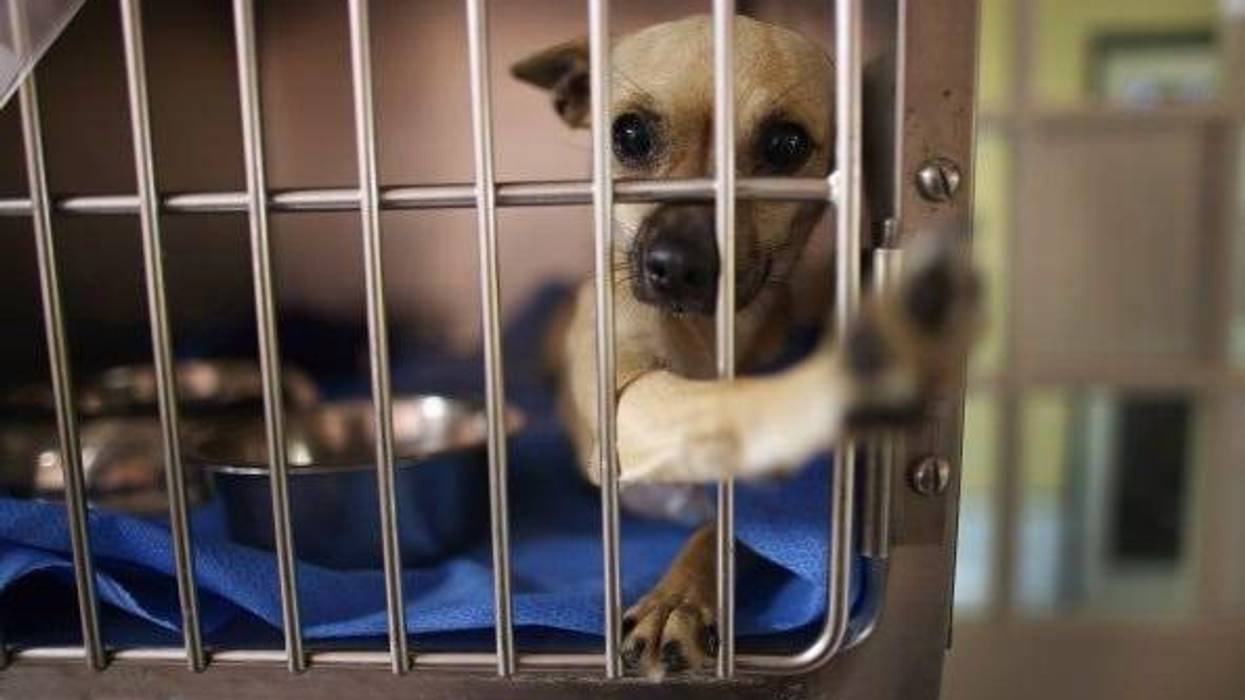 Joe Raedle / Staff Editorial #: 169674652 Collection: Getty Images News