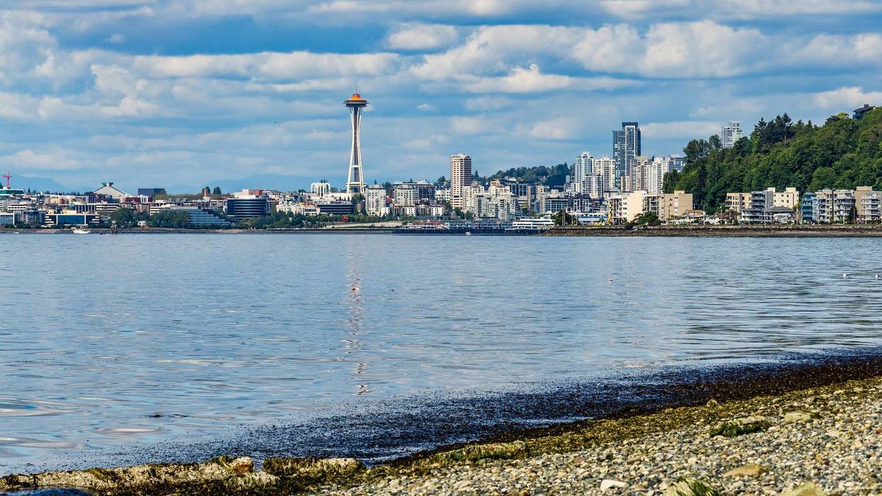 Join The Vedder Family & Friends in Taking the #PlungeForElodie