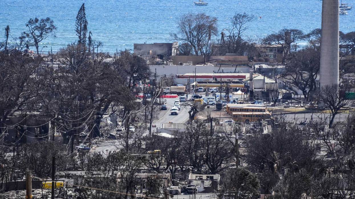 Jubee Bedoya Saves Himself & 17 others In Maui Wildfires