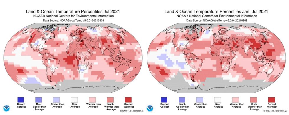 World suffers through hottest July on record in 2021: report