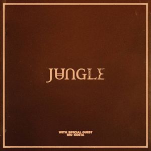 Jungle at United Center