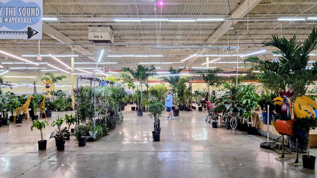 Jungle of Niles must find new home