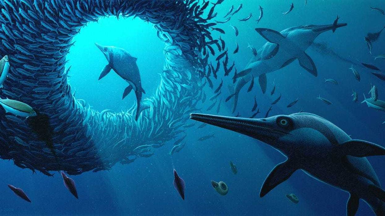 Jurassic Oceans: Monsters of the Deep, which will open on February 25, takes visitors on an underwater journey to encounter some of the fascinating, fierce, and strange creatures that dominated Earth’s Jurassic seas while dinosaurs ruled the land.