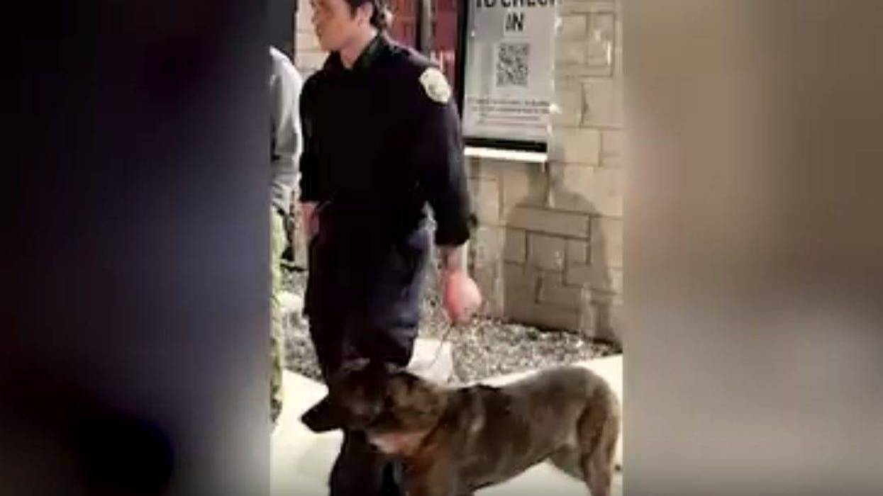 K-9 handler, Officer Max Houtman, prompting Sledge's deploymen