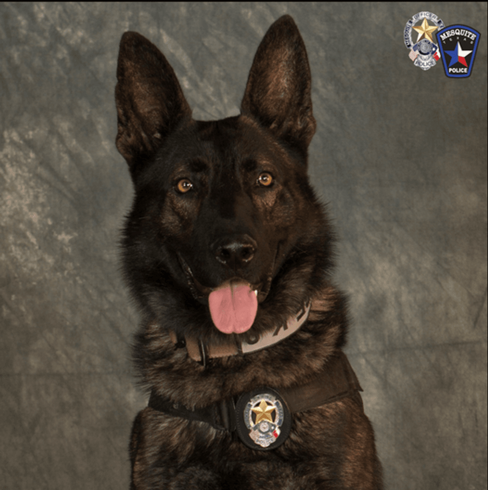 K-9 Officer Kozmo