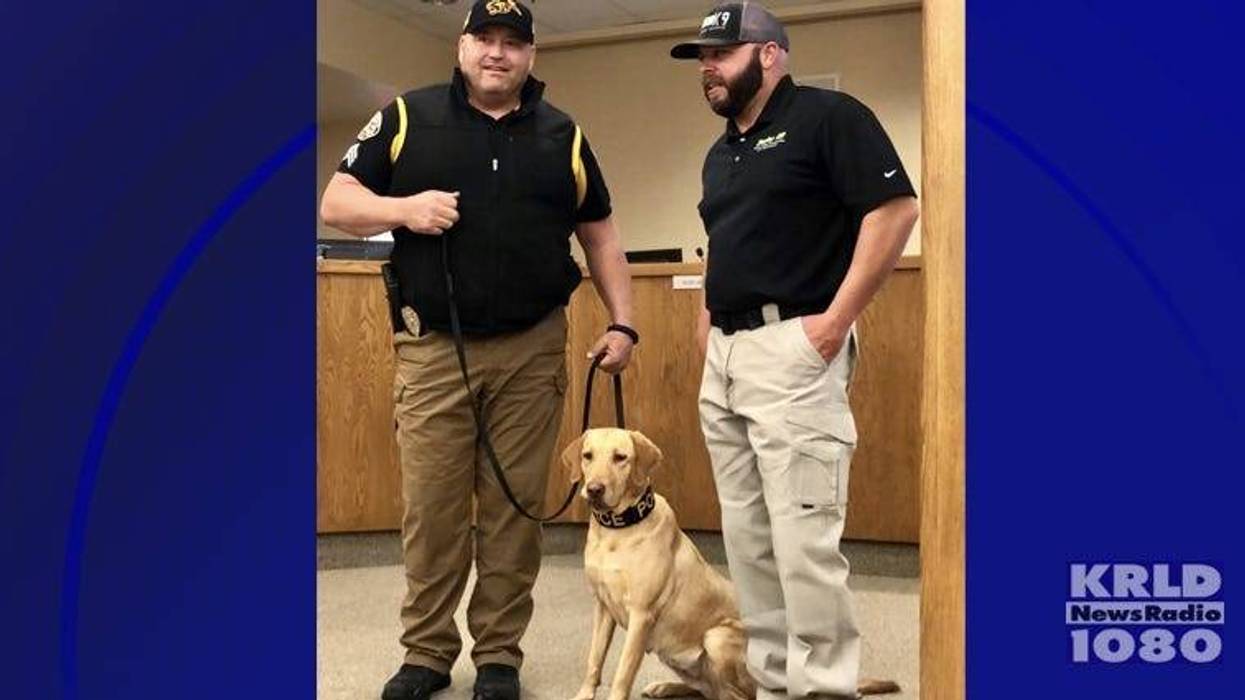 K-9 Sector’s Weapons and Drugs Detection training program