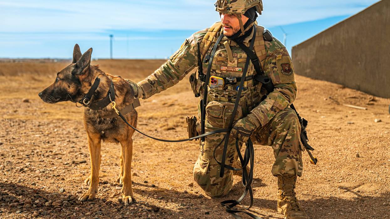 K-9 Veterans Day: Honoring Our Canine Heroes
