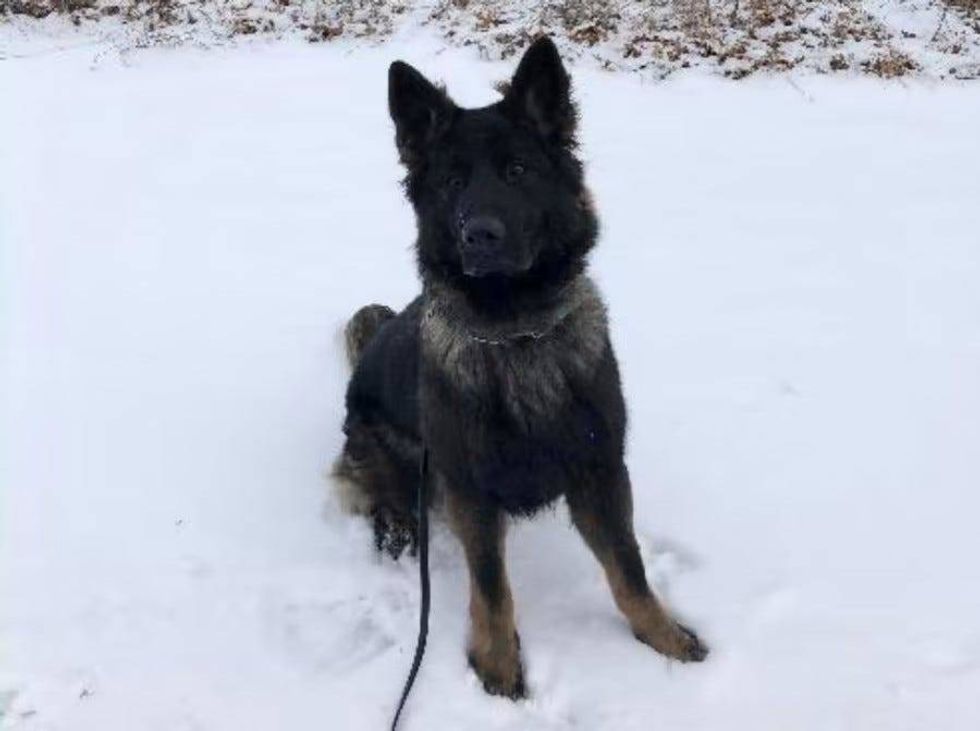 K-9 Woodson