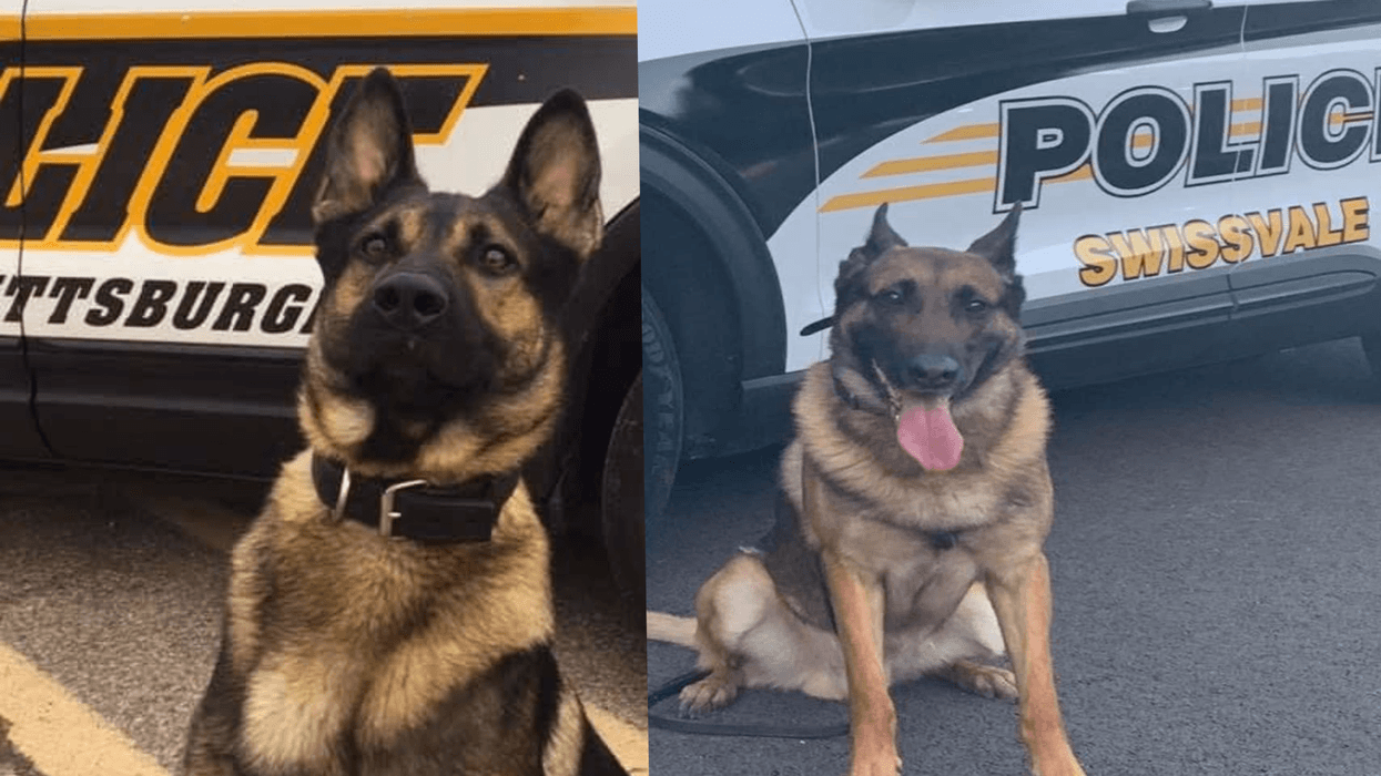 K9 Officers Jr. and Atlas