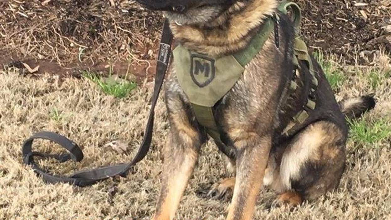 K9 Roscoe - ACSO