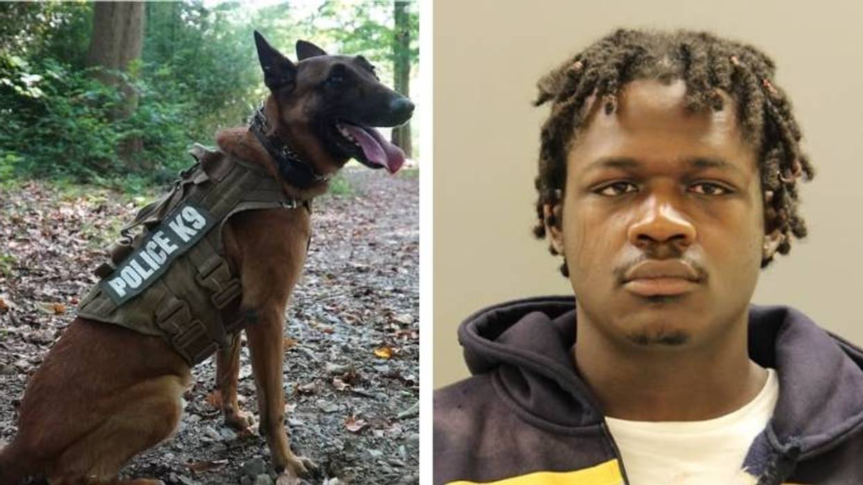 K9 Vudu was instrumental in the arrest Jimi Payne, a burglary suspect hiding in the basement of a Newark, Delaware home on Saturday.