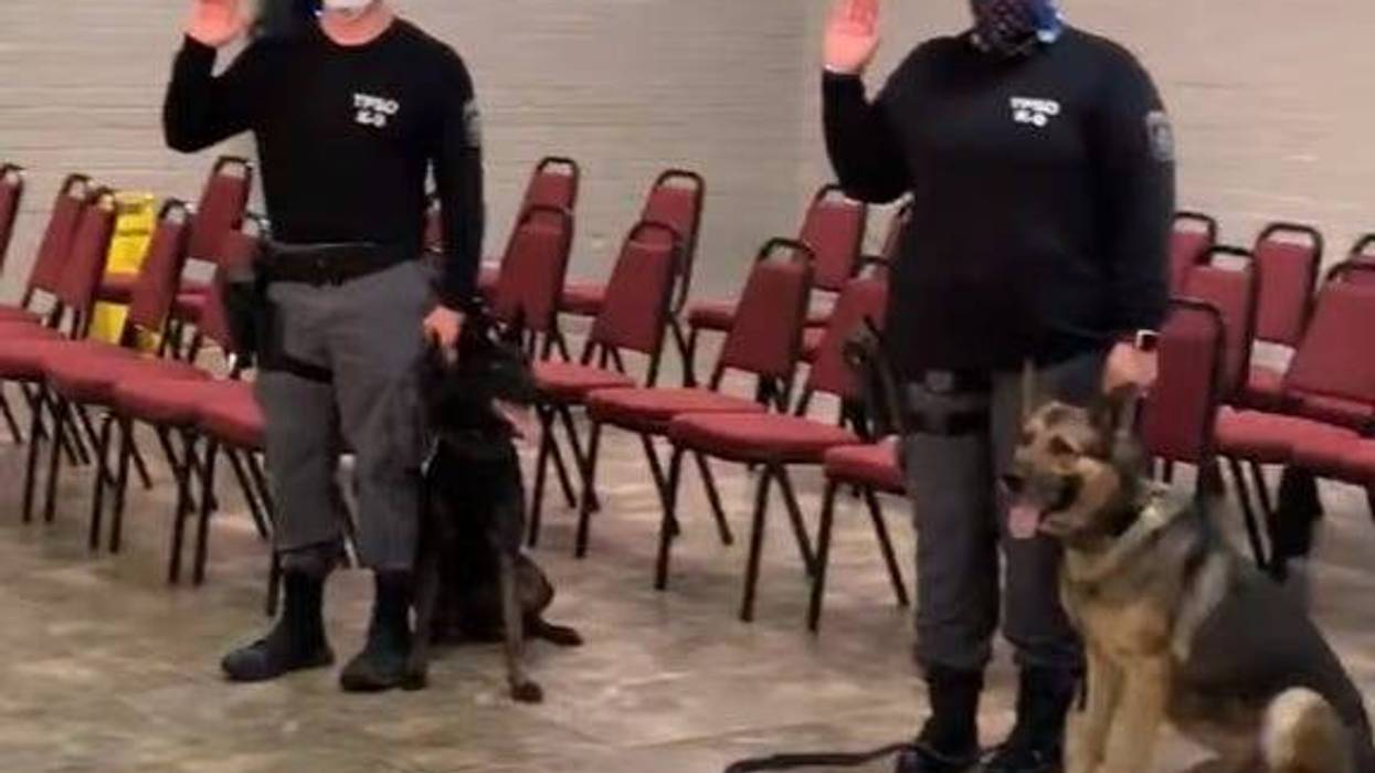 K9
