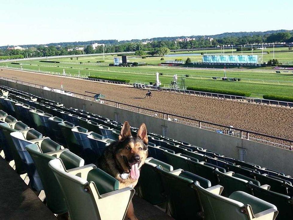 Kai joined the NCPD in 2012 and retired in 2020