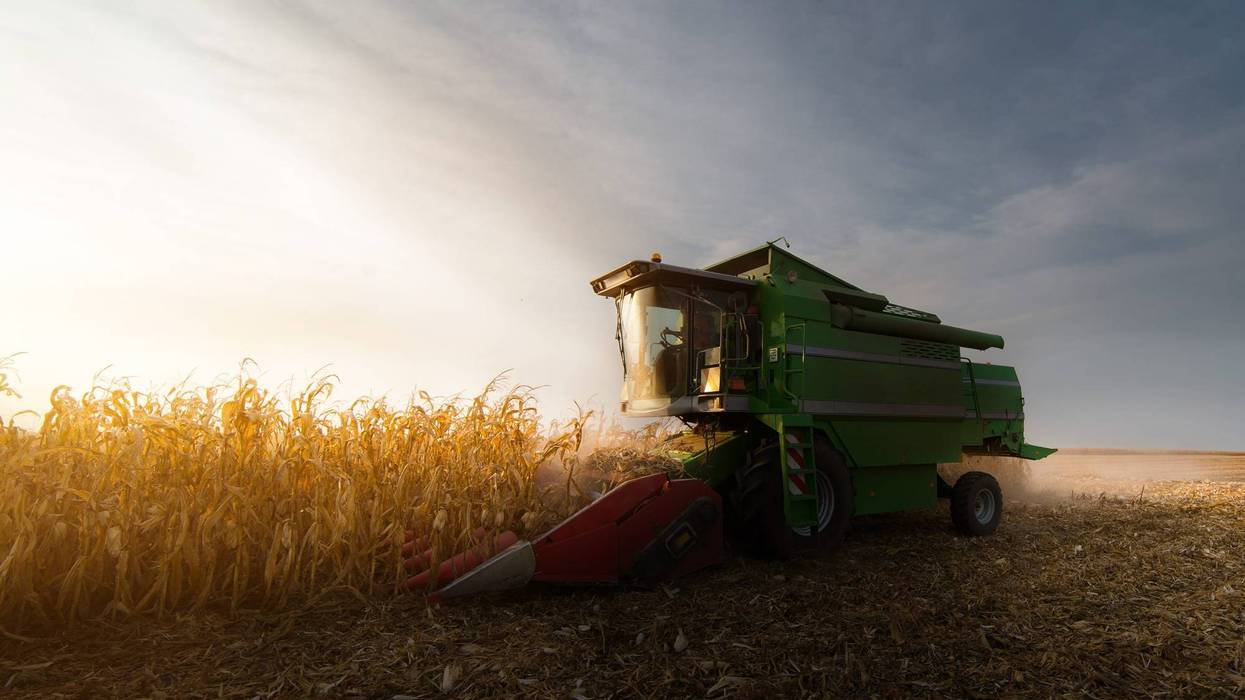 Kansas farmers making progress harvesting their fall crops