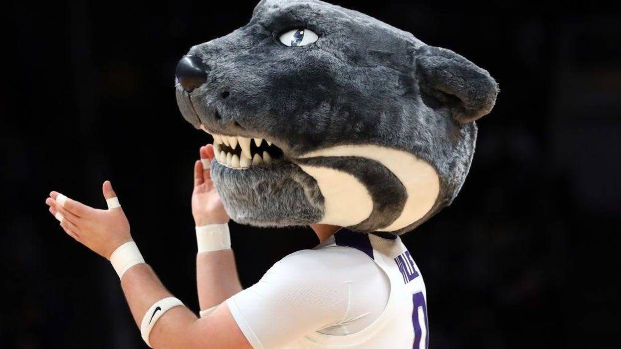 Kansas State mascot