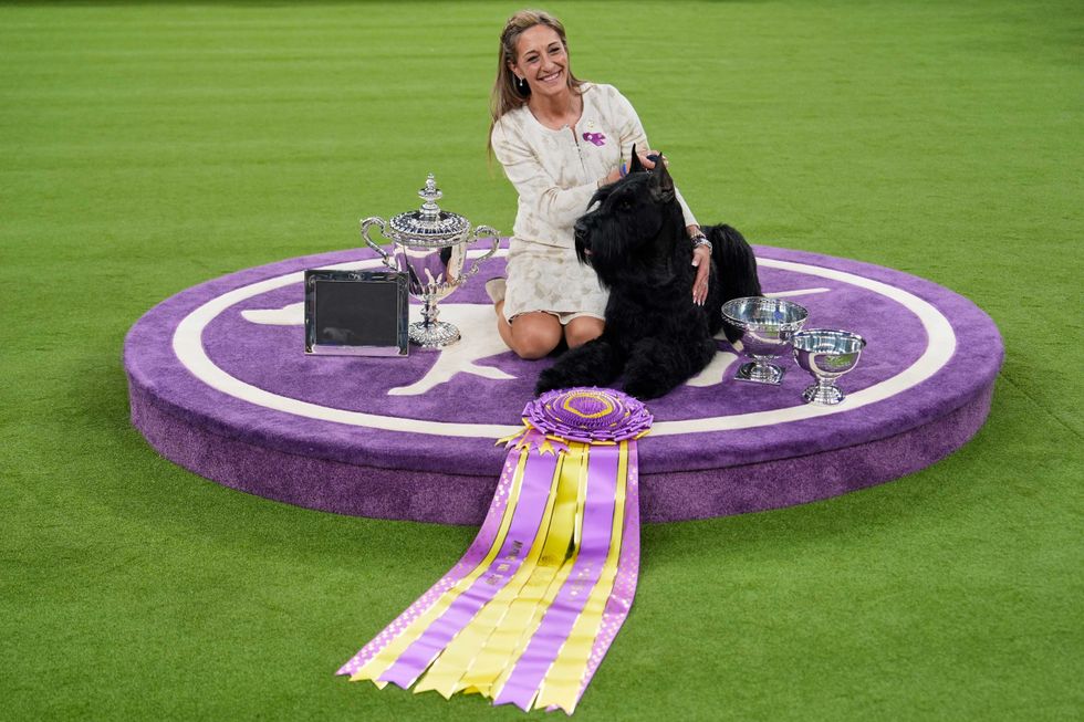 Katie Bernardin and Monty, a Giant Schnauzer, celebrate after winning best in show in the 149th Westminster Kennel Club Dog show, Tuesday, Feb. 11, 2025, in New York