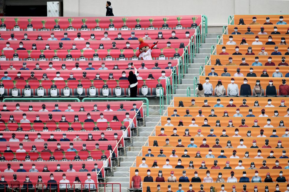 KBO Fans