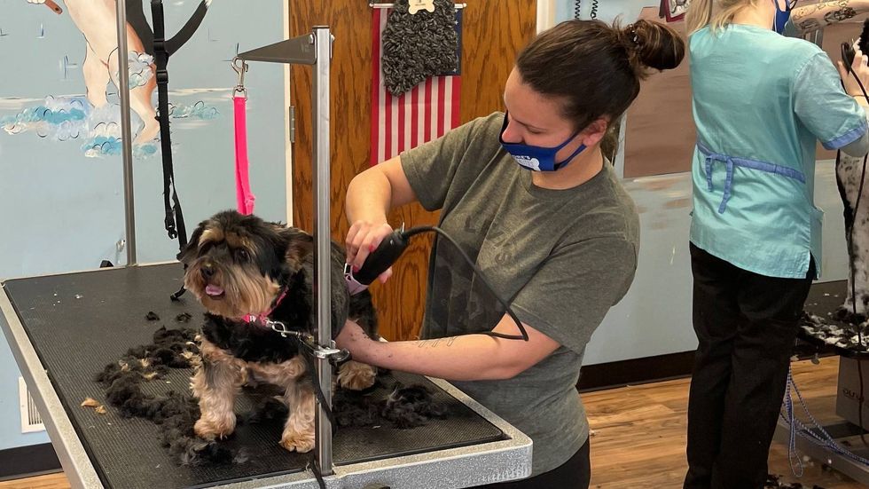 Kelsi Candelore is doing what she loves, grooming pets at Candelore