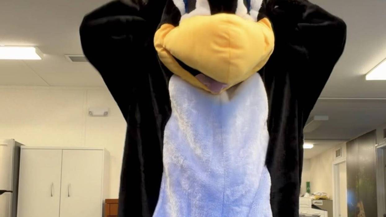 Kennedy Had To Miss Work Because Of This Penguin