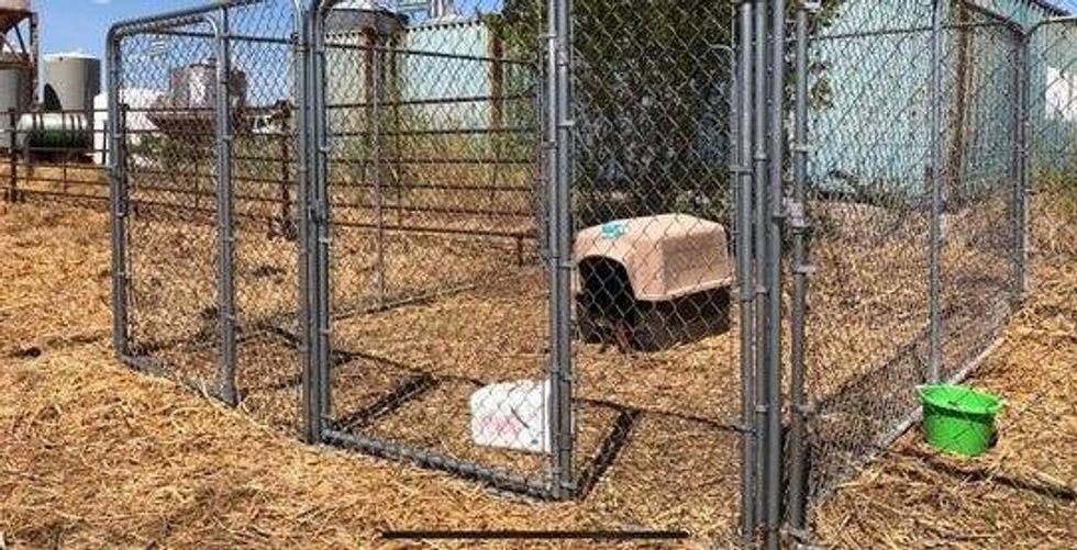 Kennels