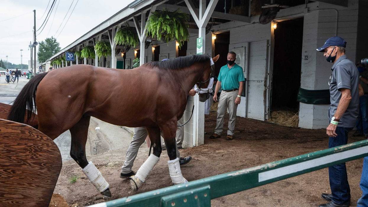 Kentucky Derby favorite Tiz the Law is lead to his stall after arriving at Churchill Downs from New York.