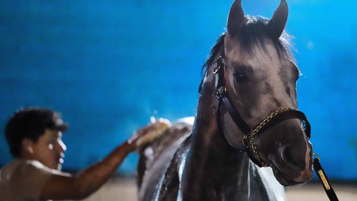Kentucky Derby Horse Racing