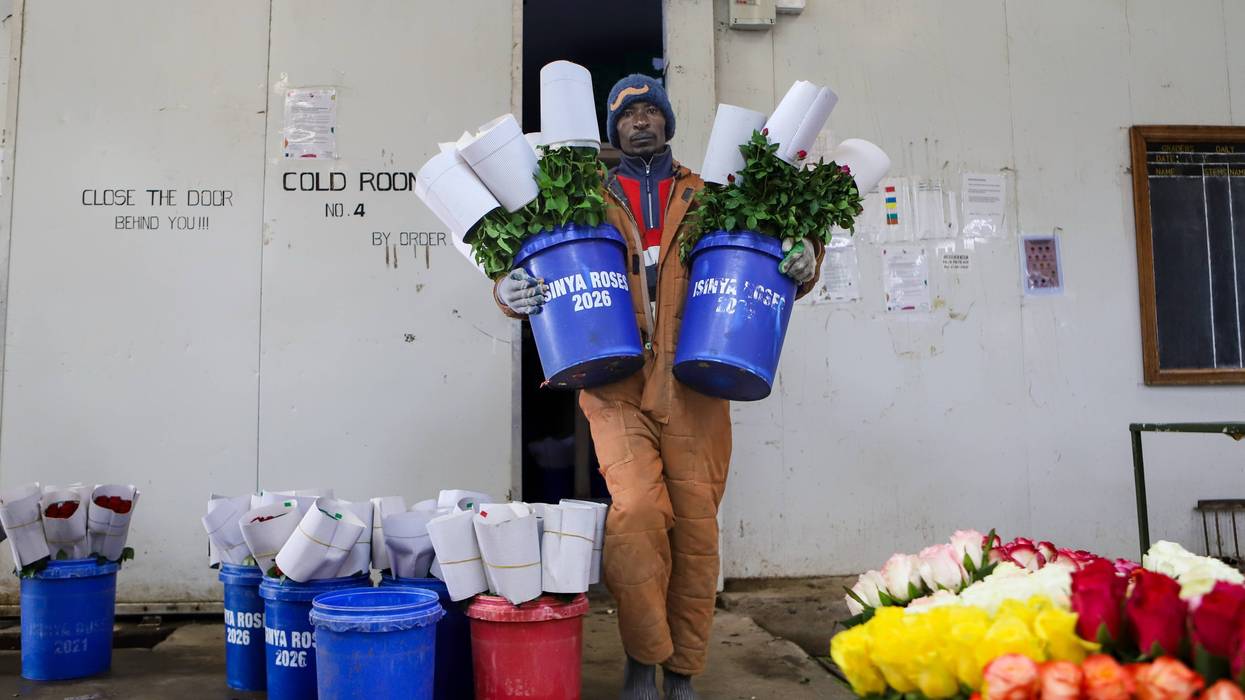 Kenya Flowers War