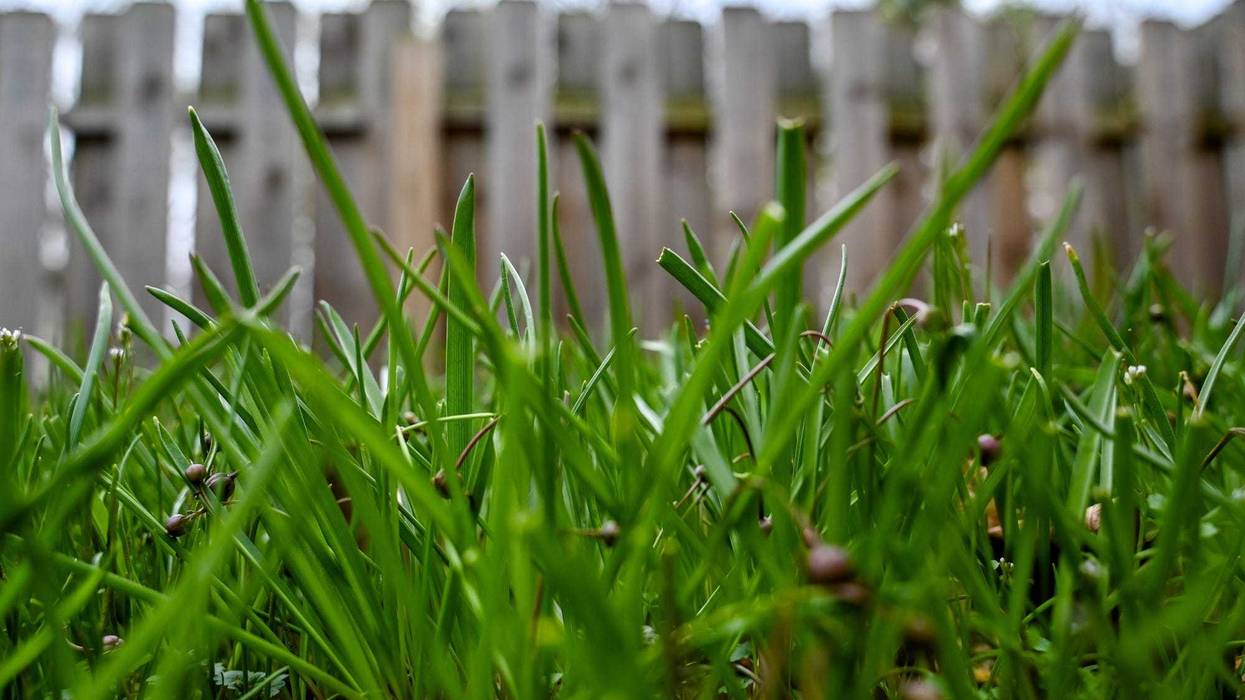 Kevin Bonecutter Of Cincinnati's 143 Acts Of Kindness