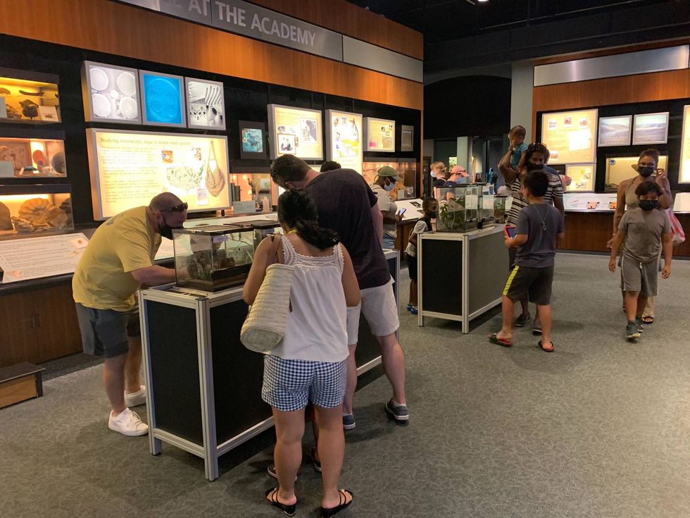 Kids and adults checking out the insect exhibits at Bugfest.