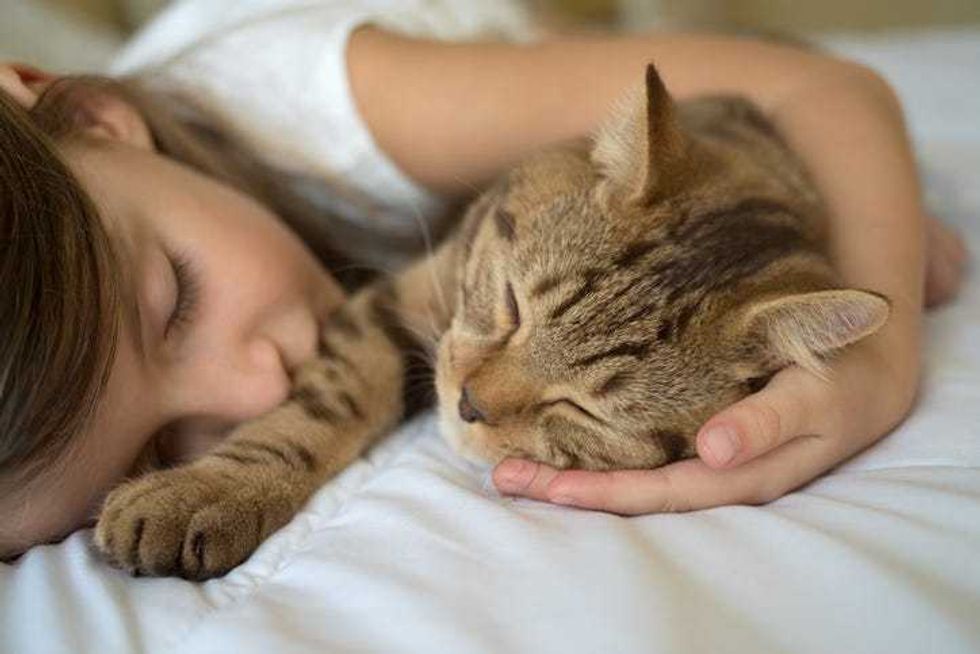 kids and cat