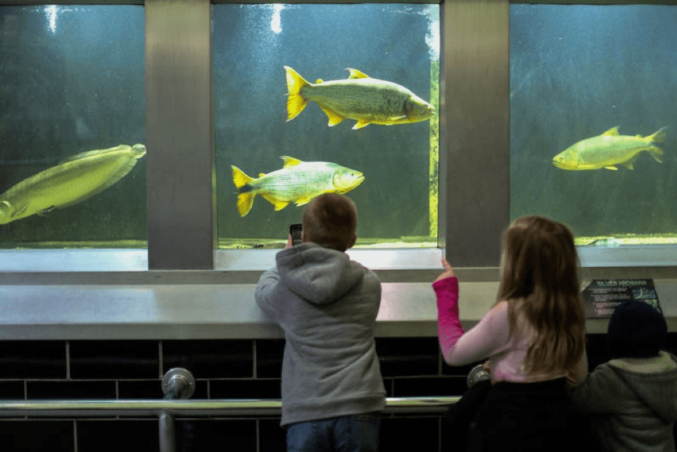 Kids enjoy the Belle Isle Aquarium