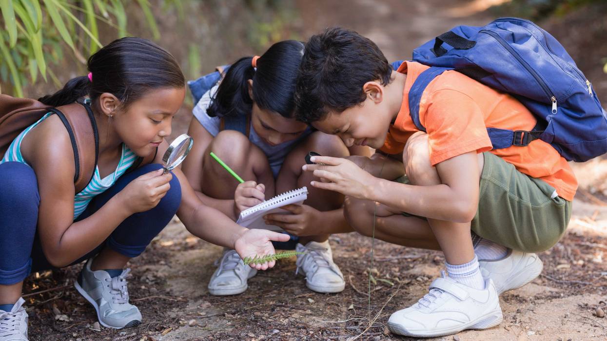 Kids, outdoors, nature, Students