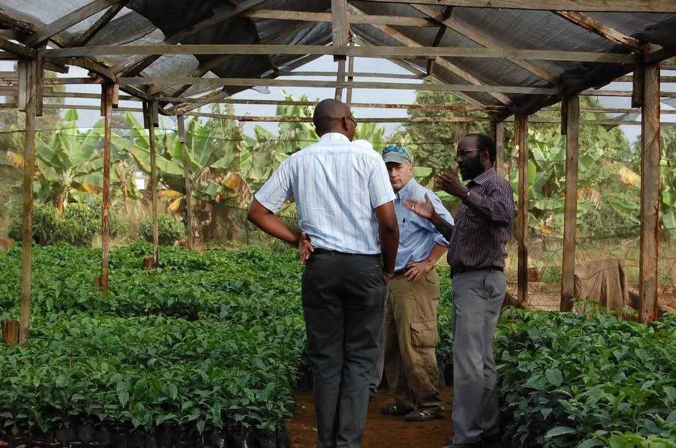 Kikwetu Kenya Coffee Company is very intentional about buying directly from small-scale farms in Kenya, farmers who take a great deal of pride in their harvest.