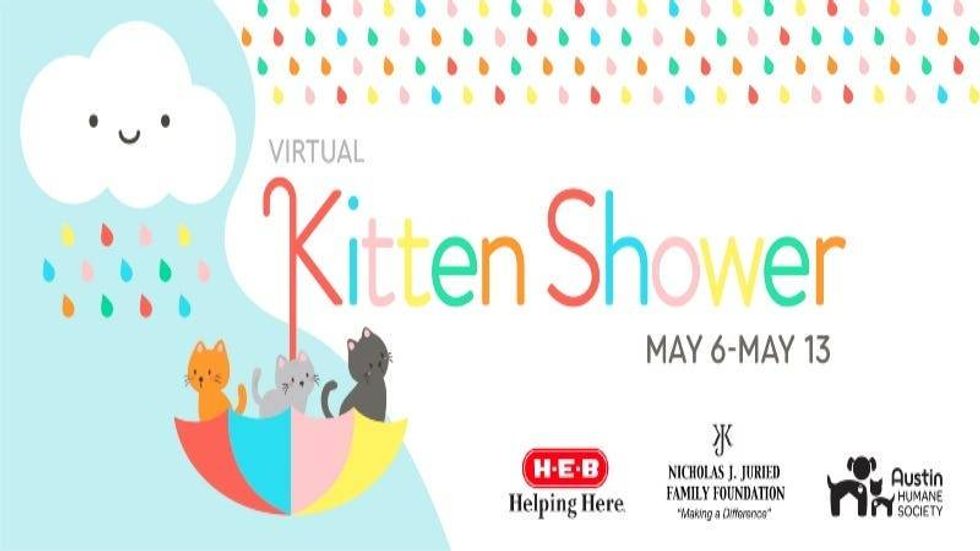Kitten Shower AHS May 2021