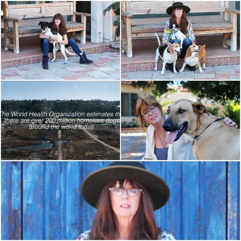 KNX 1070 News Handout