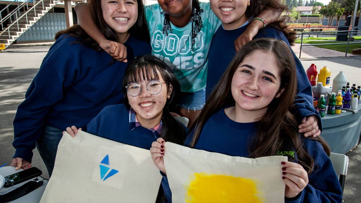 KNX Hero Christina Diep - NAMI Tote Bags