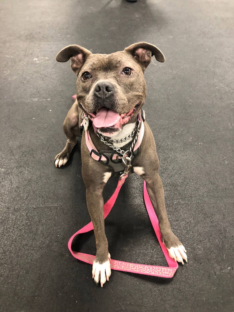 Kona