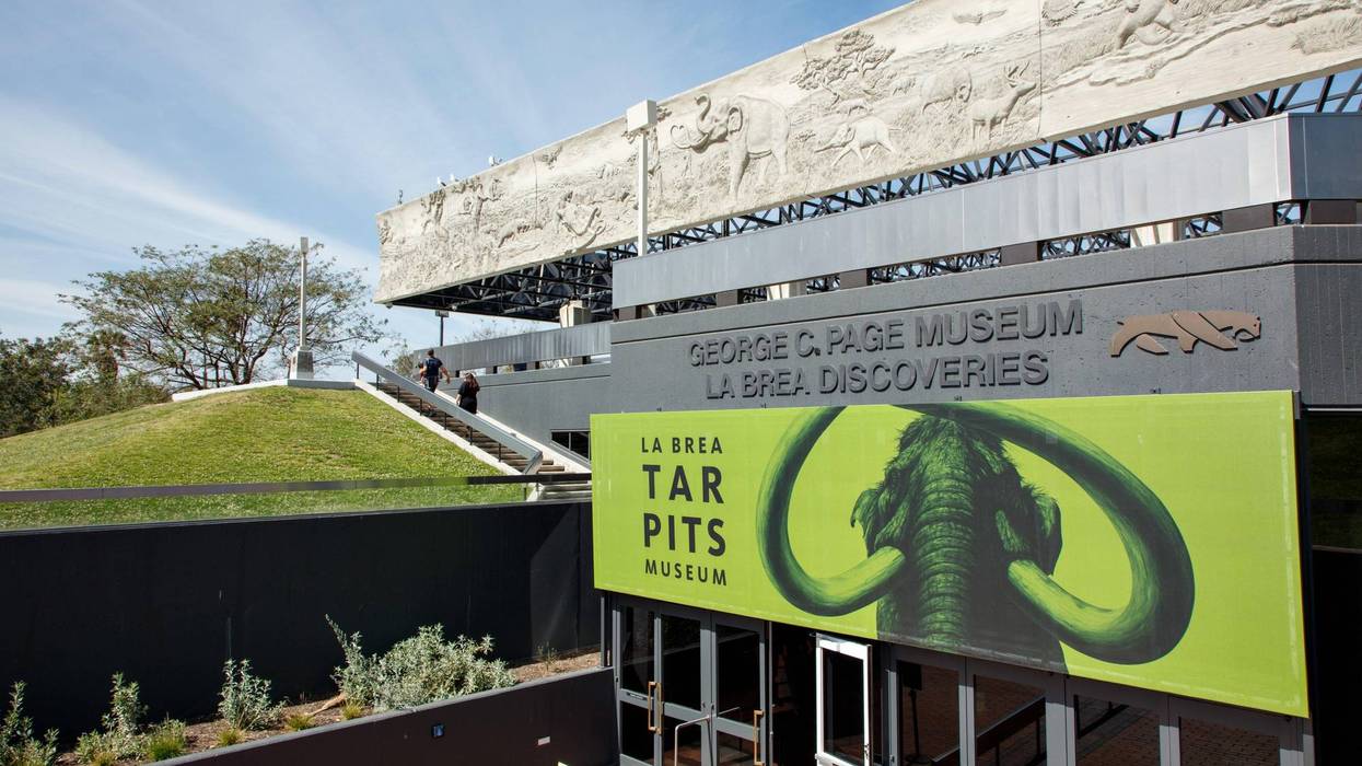 La Brea tar Pits Museum