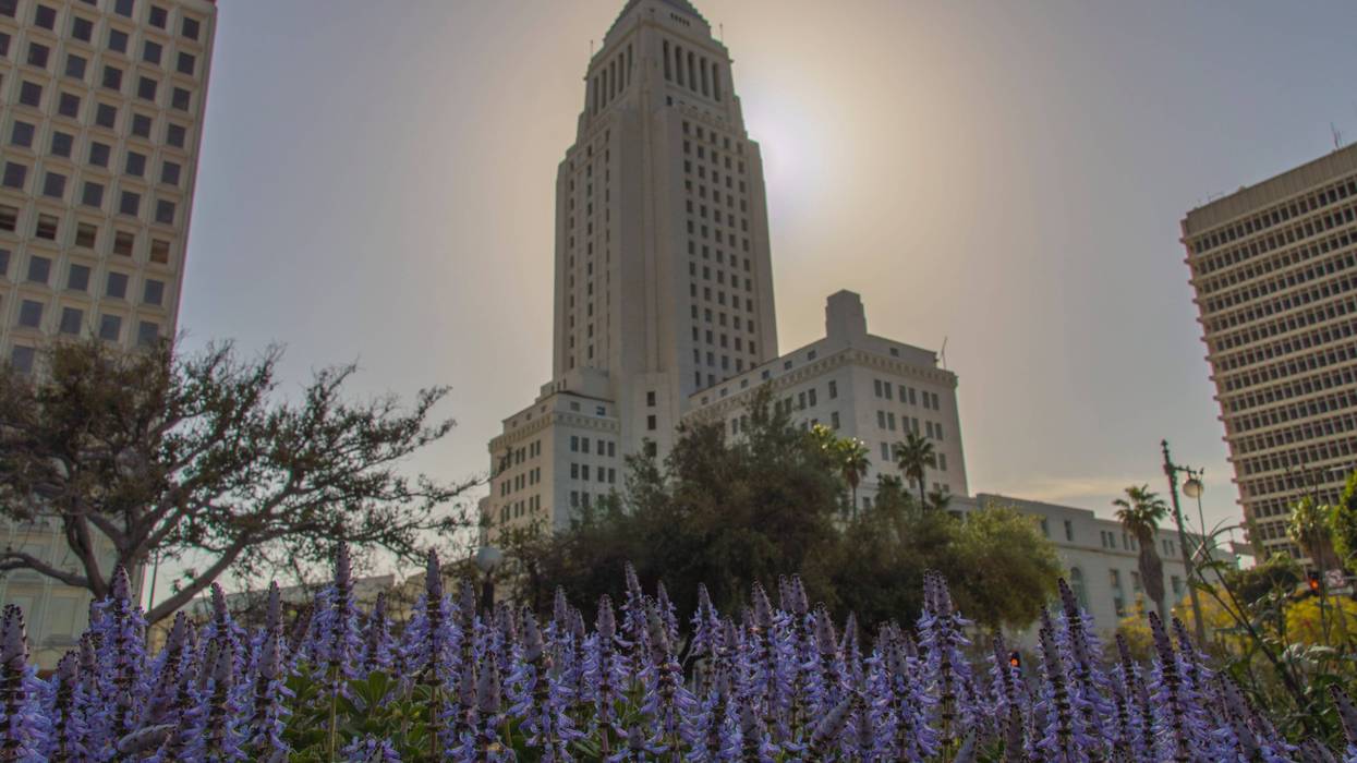 LA city hall